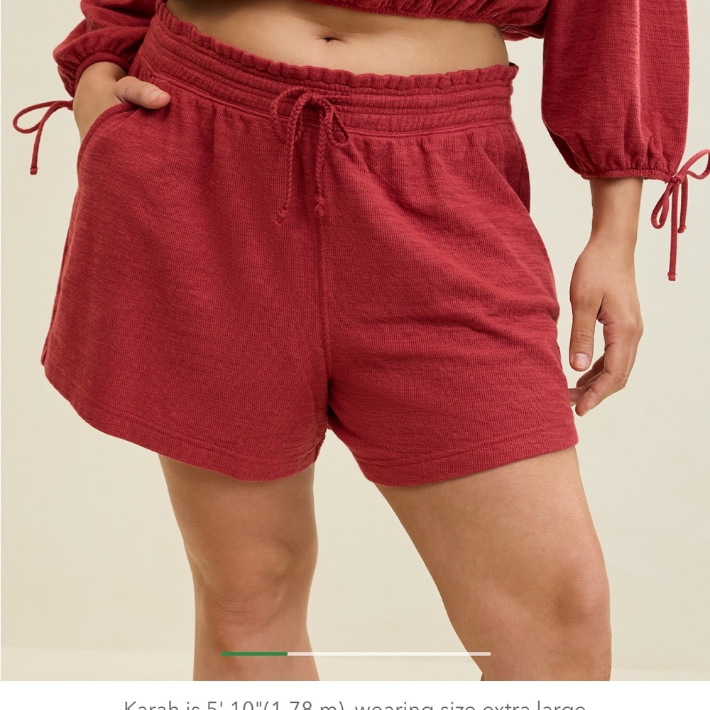 BNWT aerie Shorts